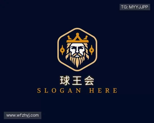 了解球王会